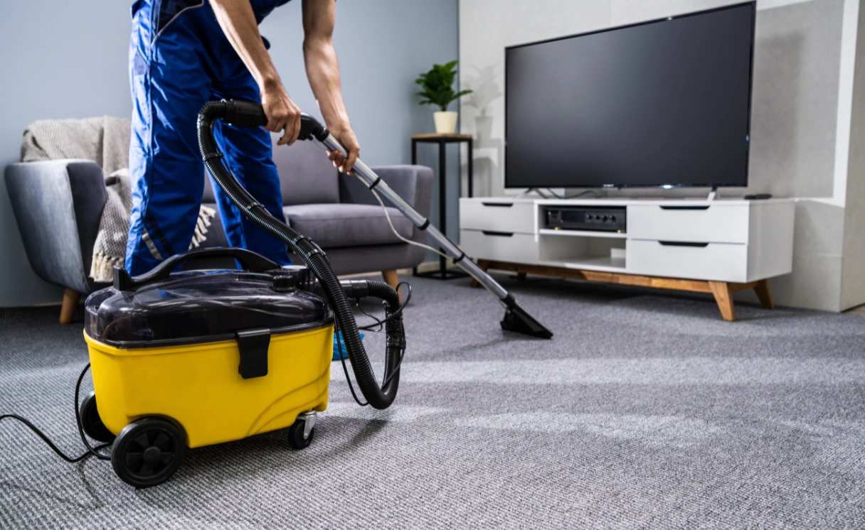 Extract Carpet Cleaning Mornington Contact Office